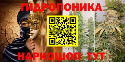 тгк Можга